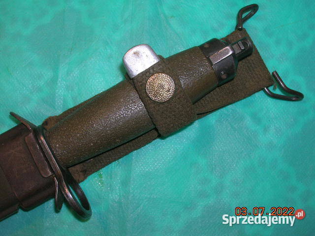 Bagnet Norweski w stanie Łódź