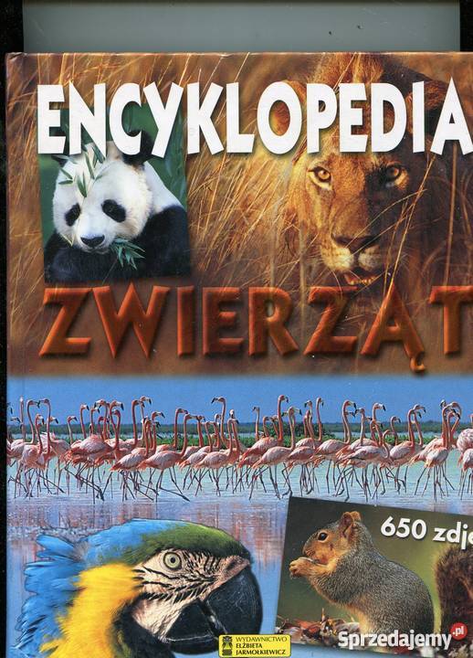 Encyklopedia Zwierząt Rok wydania 2003 zachodniopomorskie Szczecin