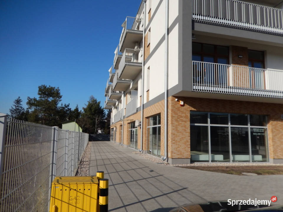 Wynajmę nowy lokal usługowy Warszawa