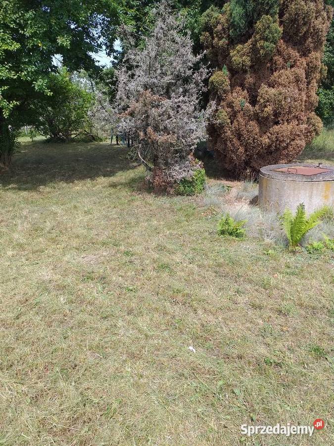 Ogródek ROD w Kamieńcu Wrocławskim 500m2 Pozostałe sprzedam