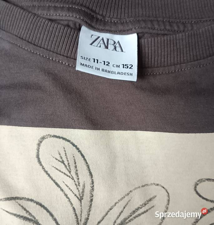 Bluza szara Zara 152 uniseks Zbylitowska Góra