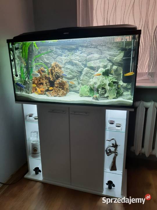 Sprzedam akwarium Poznań sprzedam