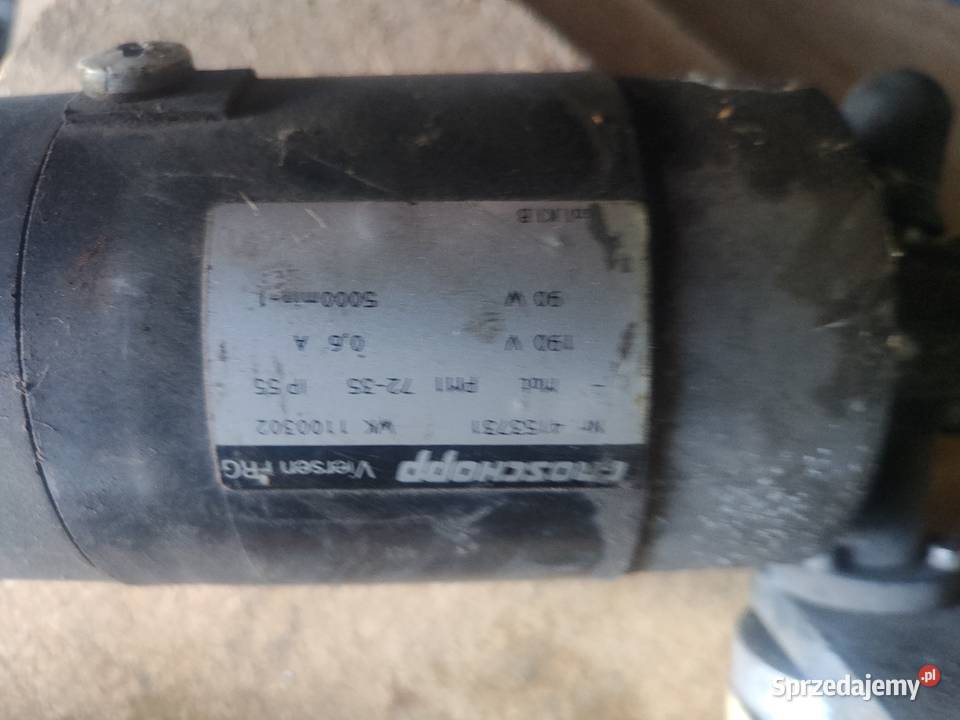 Taśmociąg wielkopolskie