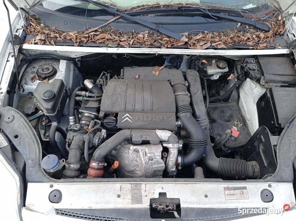 Citroen Berlingo 16 HDi 66 kW 2008 r dawca Szklarka Myślniewska