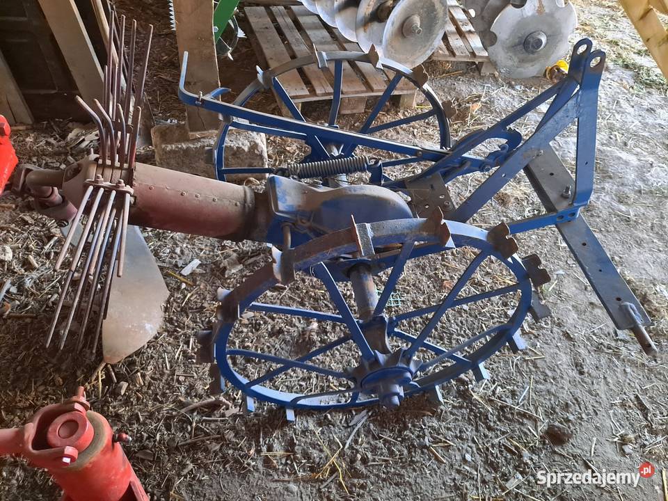 kopaczka konna Brzeźnica Bychawska-Kolonia