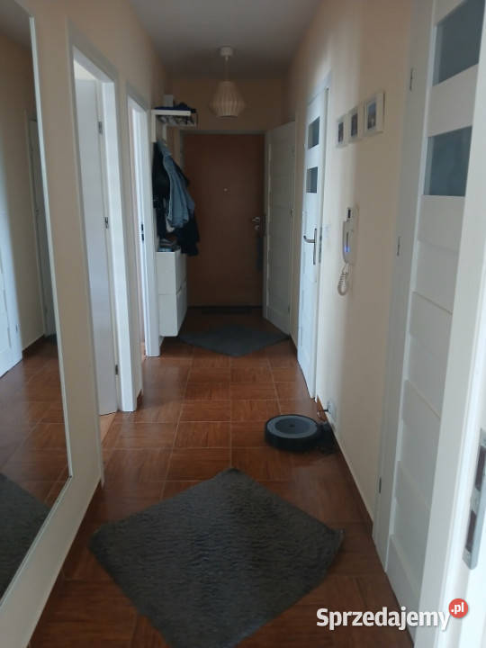 Mieszkanie 59m2 do wynajęcia Wincentego Danka Kraków