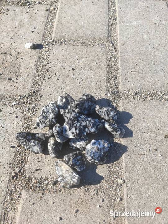 Grys Kośmin Granodioryt sjenit czarnobiały Architektura ogrodowa opolskie Opole