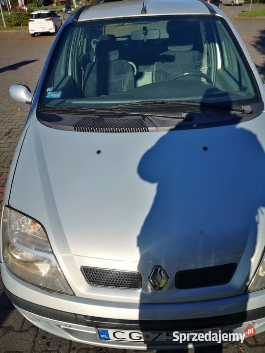 Renault scenik Grudziądz