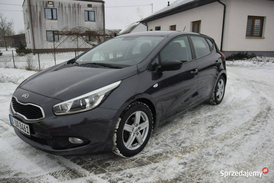 Kia Ceed 14B 2014r 107 Oryginał Lakier 2 KPL KÓŁ Majdan Sieniawski