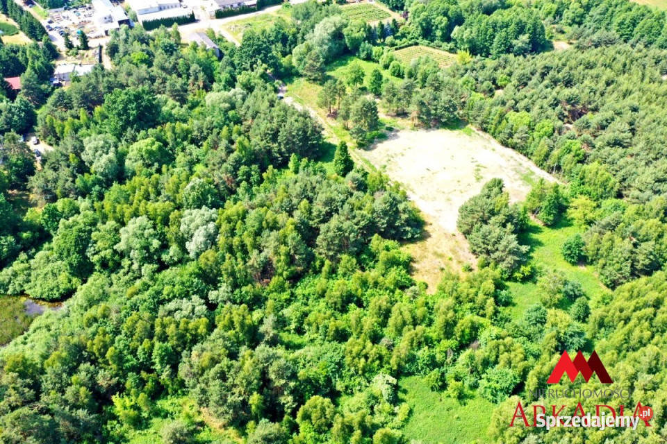 Działka do sprzedania ŁęgWitoszyn 3856m2 Łęg-Witoszyn