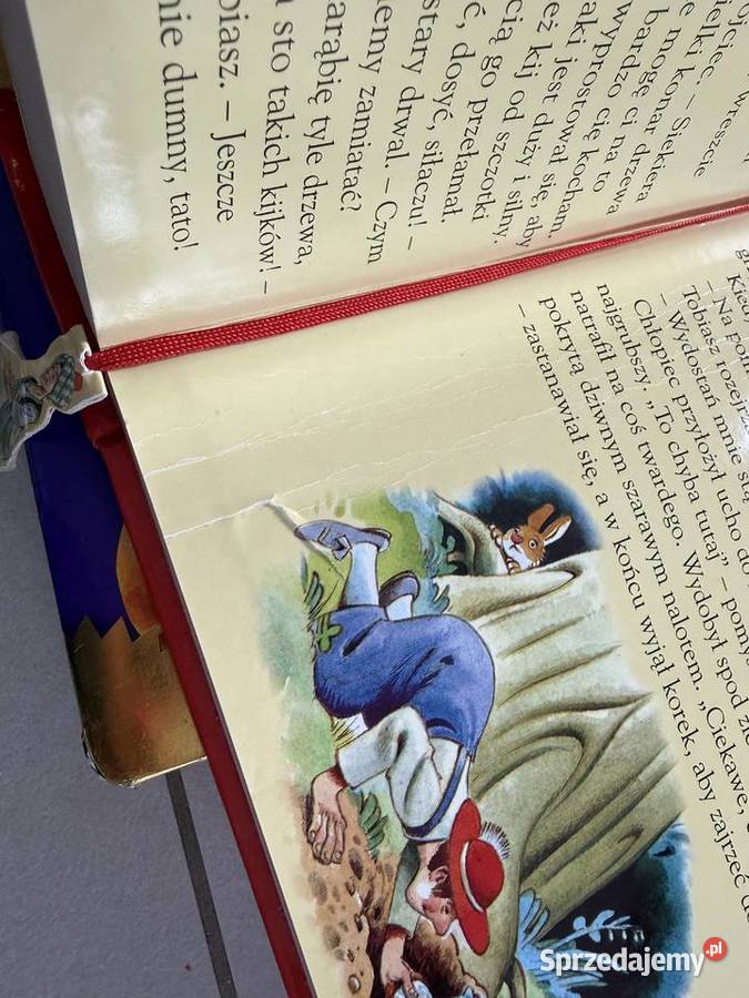 Książki dzieci śląskie Bielsko-Biała