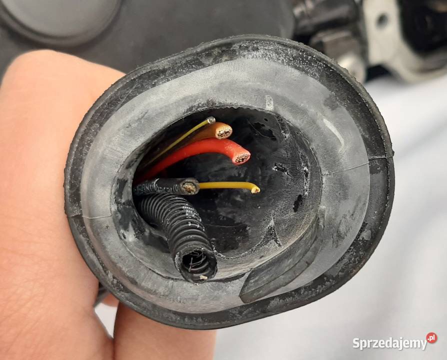 SZYBA KLAPY BAGAŻNIKA UCHYLNA TYŁ BLENDA ZAWIASY Mielęcin sprzedam