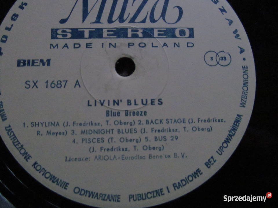 Livinblue i Philharmonic Orchestra zestaw 2 płyt Lublin