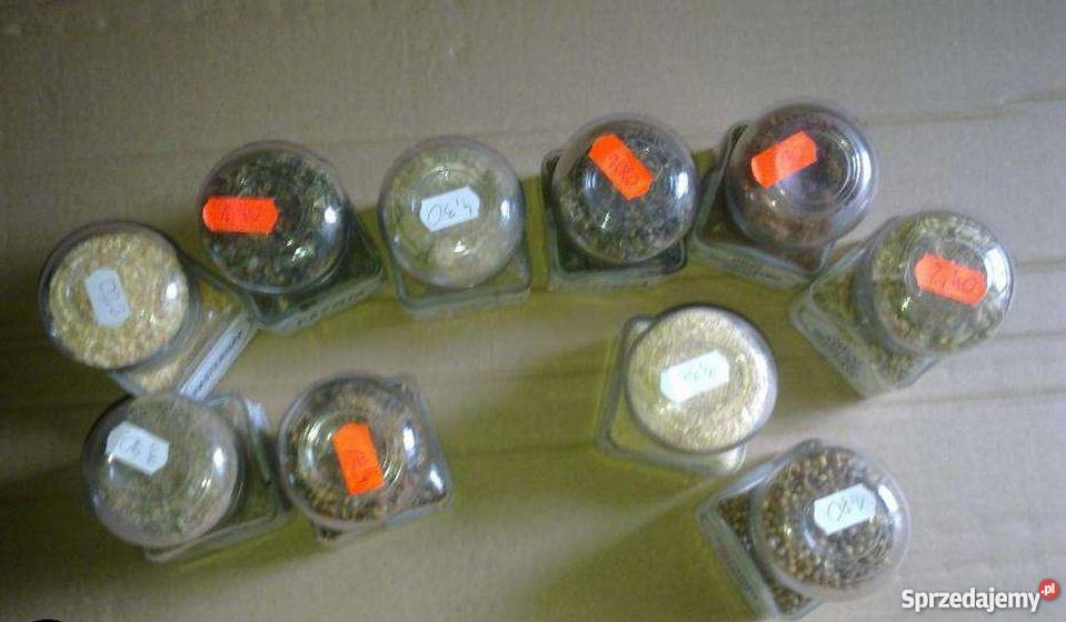 Ozdobne słoiczki z przyprawami wielkopolskie Konarzew