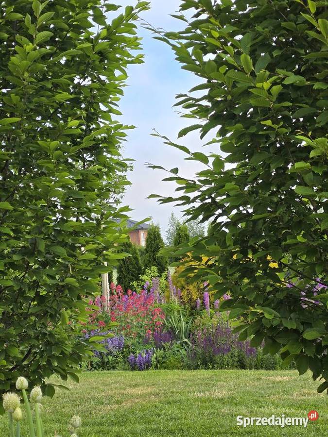 GARDEN STAGING łódzkie
