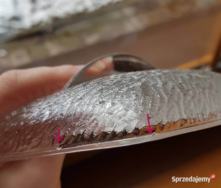 Maselnica maselniczka Awokado Huta Hortensja śląskie Dąbrowa Górnicza