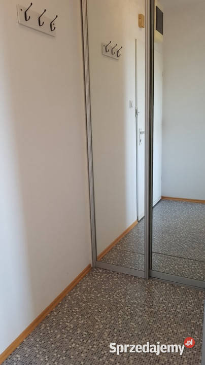 Świetnie zlokalizowane studio Liczba pokoi 1