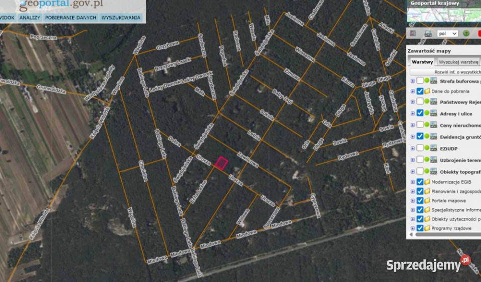 Działka leśna PopowoLetnisko 325000 m2