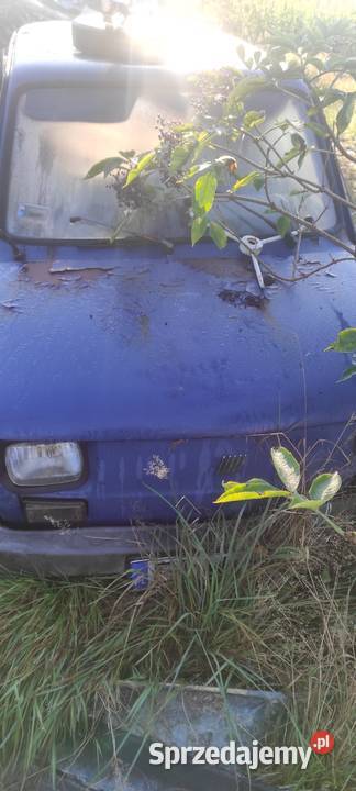 Maluszek do ogrodka karoseria łódzkie