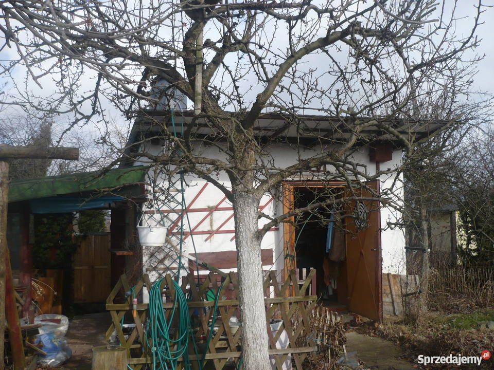 Działka ogrodowa w ROD Zorza Legnica woda dolnośląskie