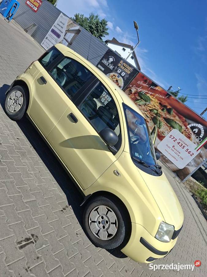 Ładna Panda Tuszyn