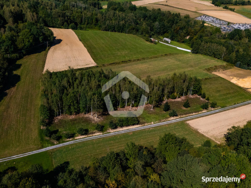 Działka lesie z WZ 34 ar 16 ar las podkarpackie