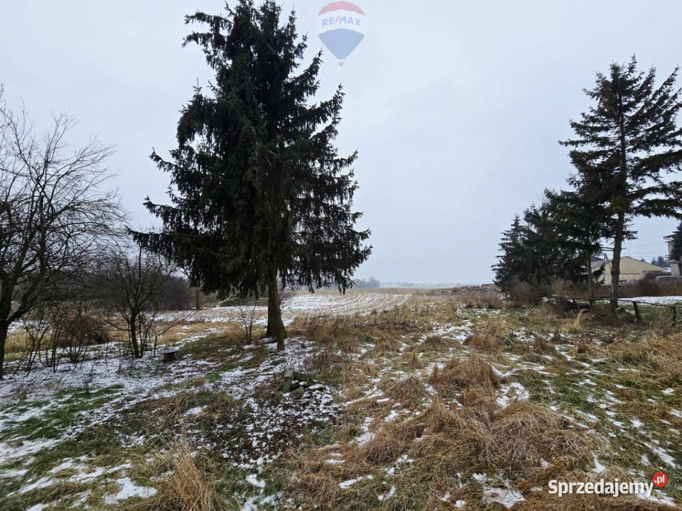 Na sprzedaż XVIIIwieczny Dworek w Głuponiach 480m2 Głuponie sprzedam