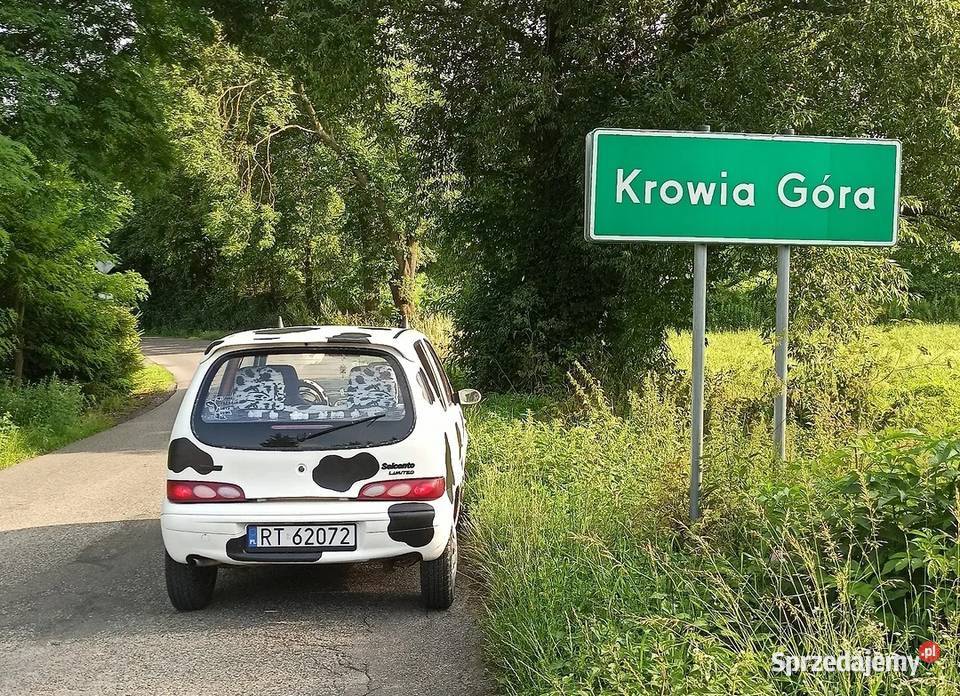 Fiat Seicento Krowa Warszawa