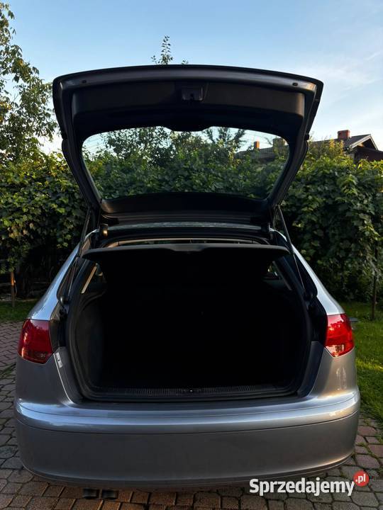 Audi A3 8P Sportback 19tdi A3 A3 Nisko
