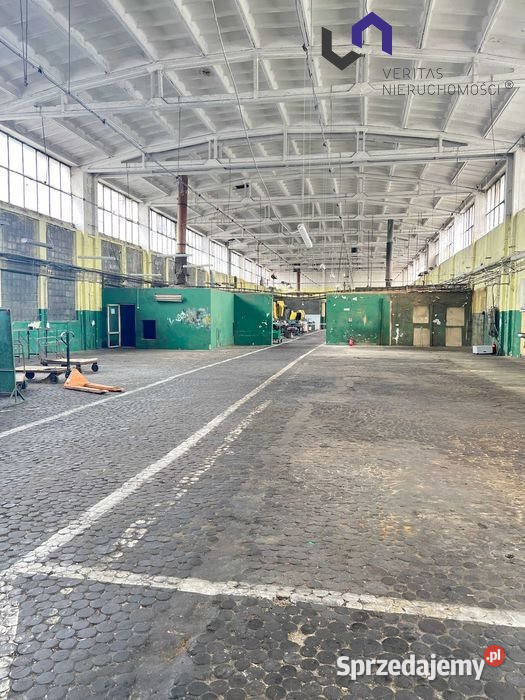 wynajmu lokalu Mysłowice 1200m2