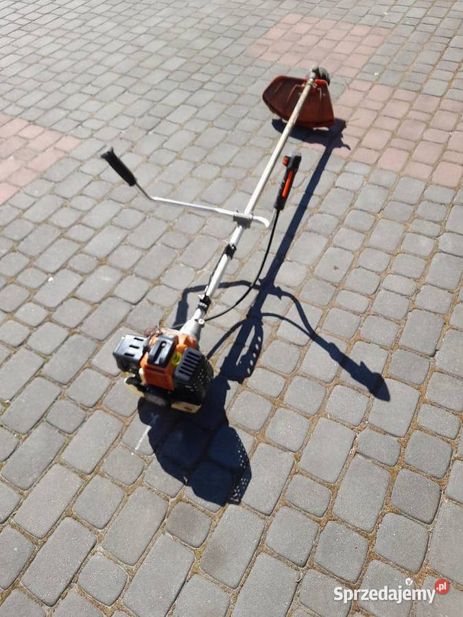 Kosa demon Skierniewice