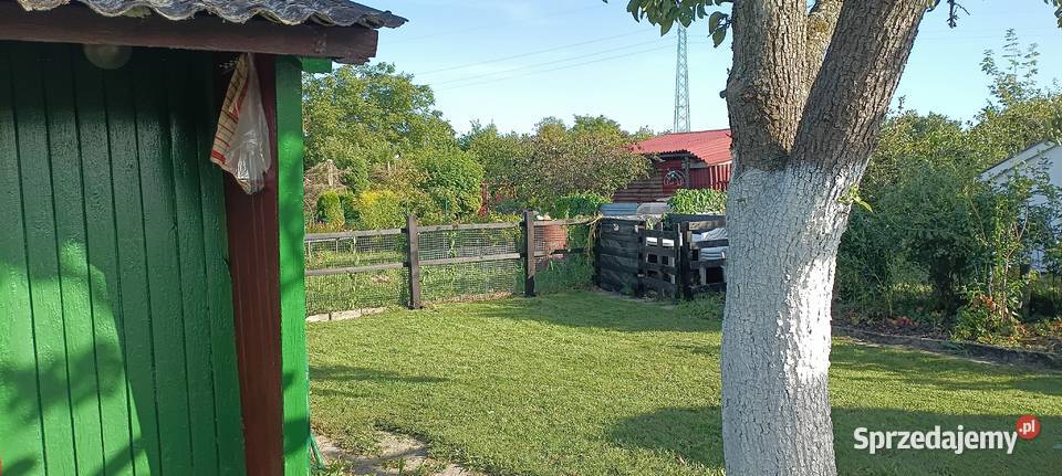 Działka ogrodowa ROD Niekłonice Sprzedaż zachodniopomorskie Koszalin