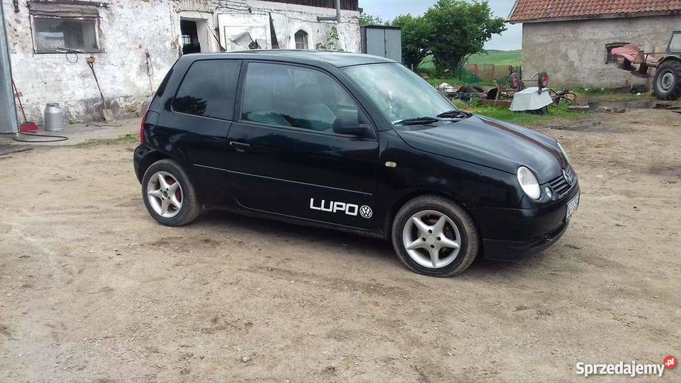 Lupo 19 sdi możliwa zamiana czarny Lupo warmińsko-mazurskie Giżycko