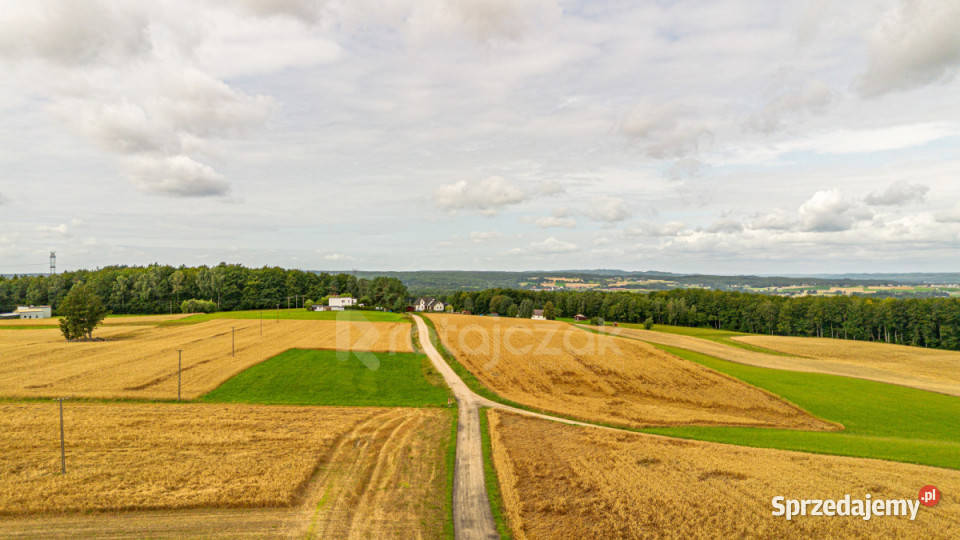 Grunt Milwino 3111m2 sprzedam