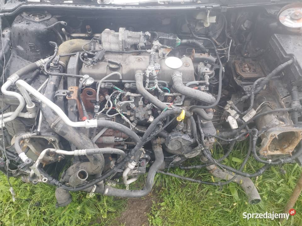 Silnik focus 18 TDCi Prażmów sprzedam