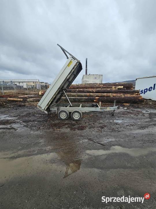Przyczepa Kerenzo Ustrzyki Dolne