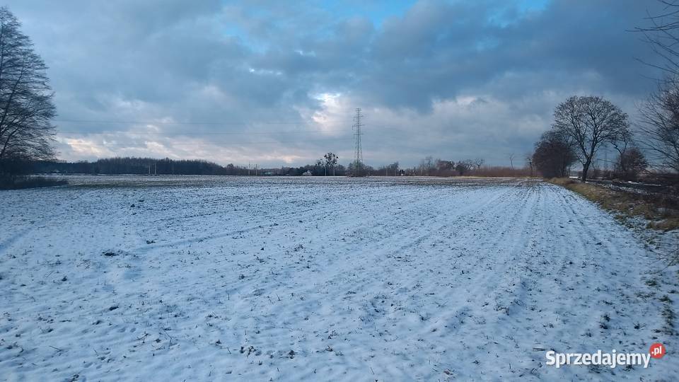 Dzialka rolna 642 ha Tarnowiec w strefie sprzedam