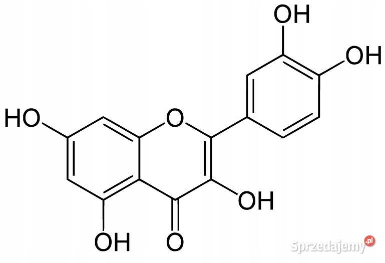 Kwercytyna Czysta Quercetin Flavonoid 50g 99 Łódź