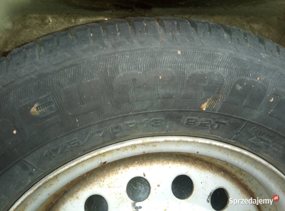 Przyczepa gastro Zgorzelec