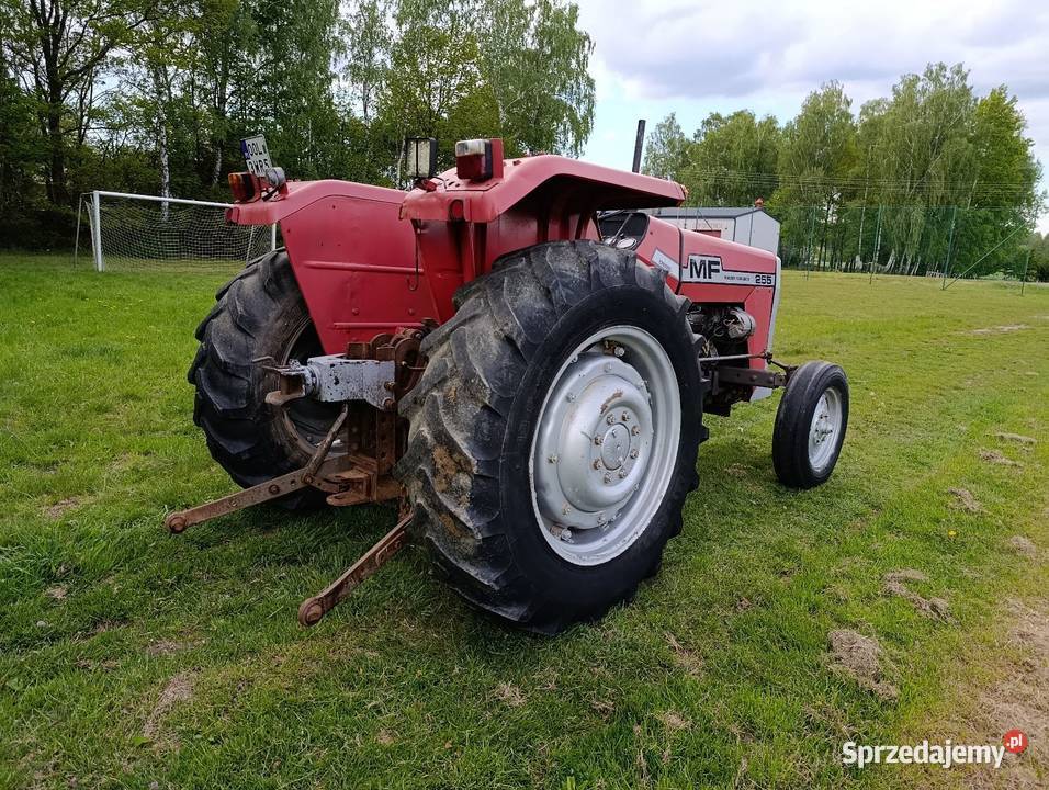 Ferguson MF 255 nie 3512 zarejestrowany sprawny Praszka sprzedam