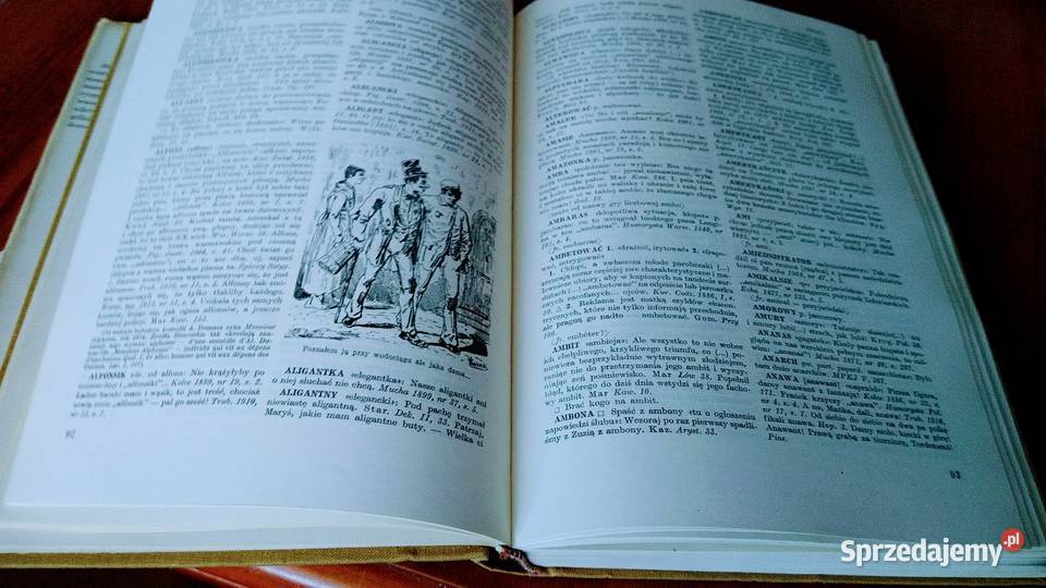 Słownik gwary warszawskiej XIX wieku Bronisław pomorskie