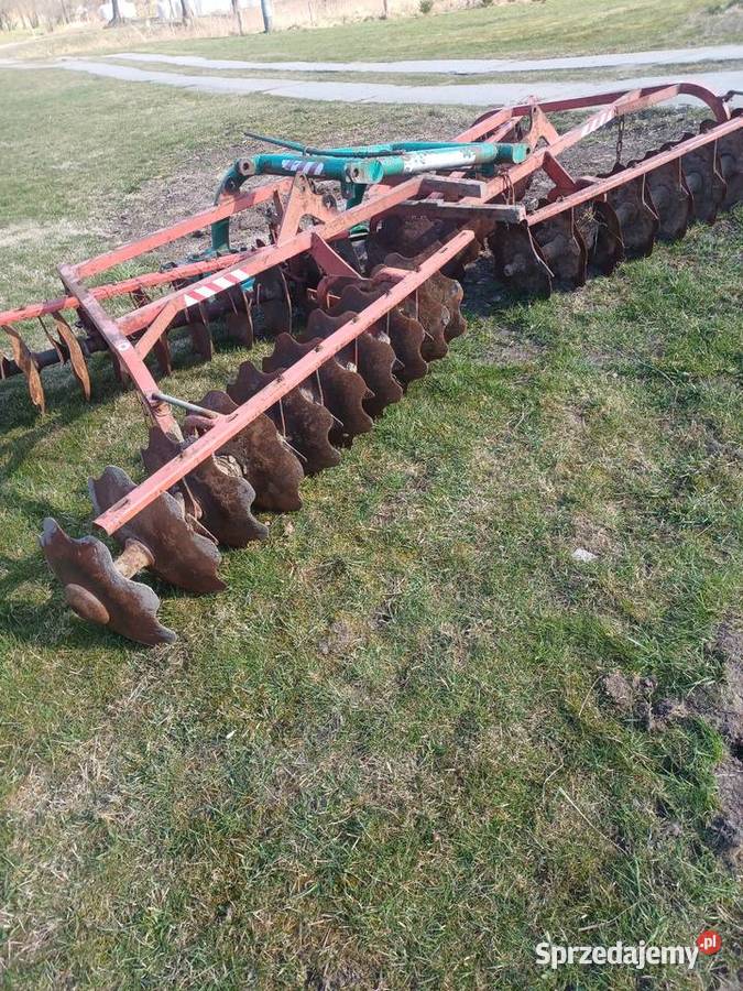 Brony polowe ciężkie Pozostałe warmińsko-mazurskie Młynary sprzedam