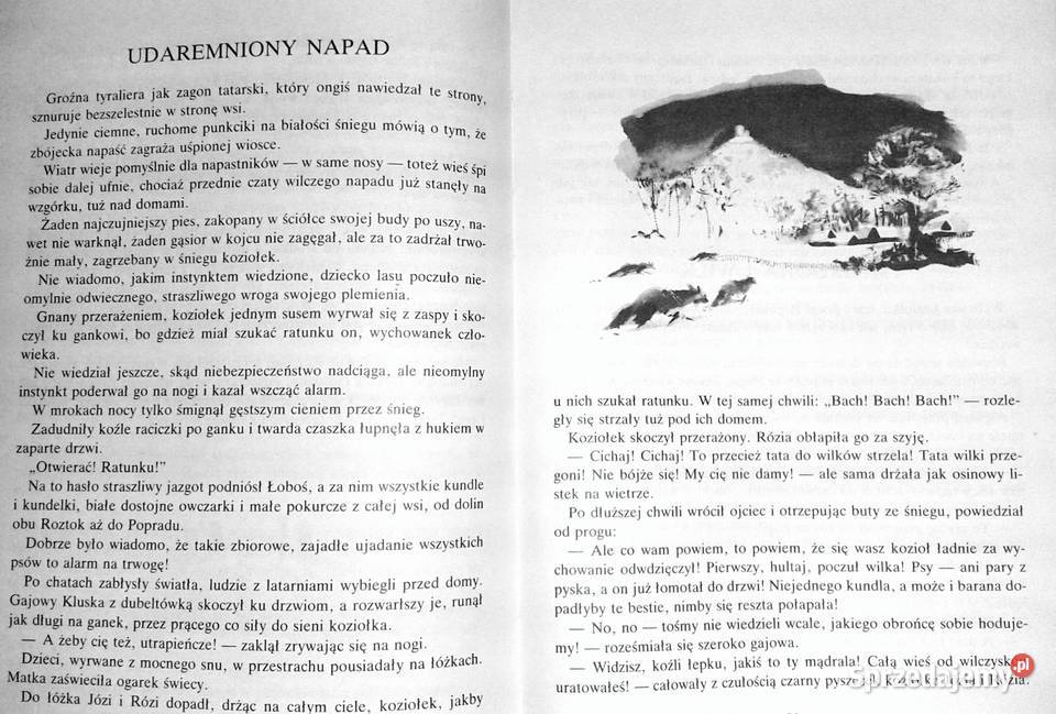 Rogaś z Doliny Roztoki Maria Kownacka Chełm