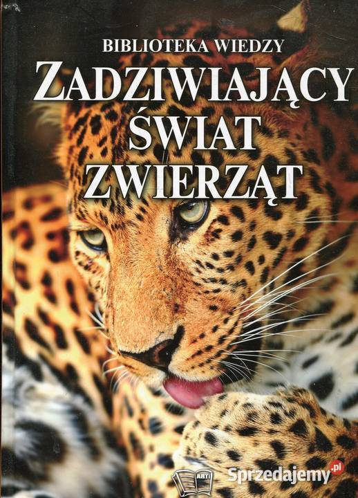 Zadziwiający świat zwierząt Pozostałe Szczecin