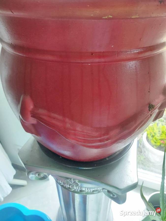Donica z skrzydlokwiatem Jelcz-Laskowice sprzedam