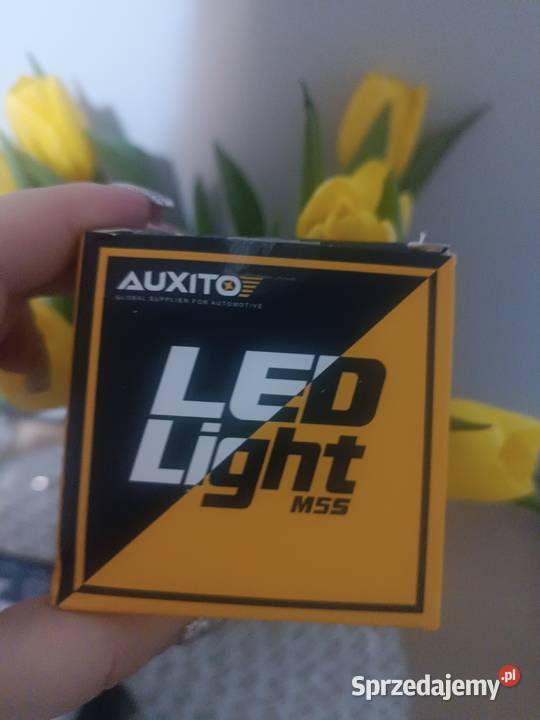 żarówki samochodowe LED 2 Canbus LED