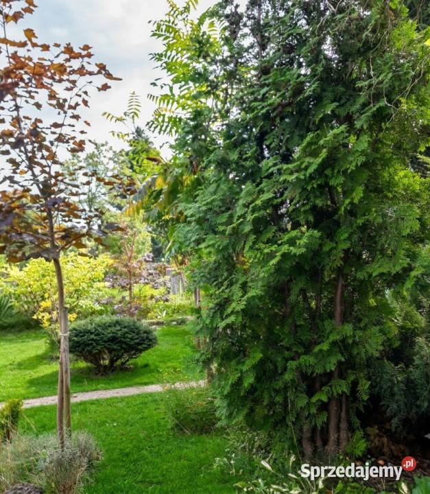 Działka ROD na sprzedaż prąd woda zadbana