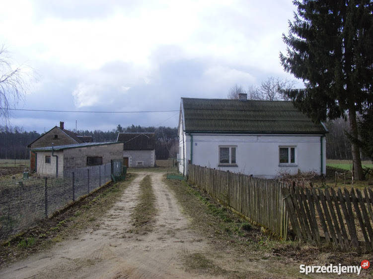 Działka siedliskowa Strzembowo 35 ha Strzembowo sprzedam