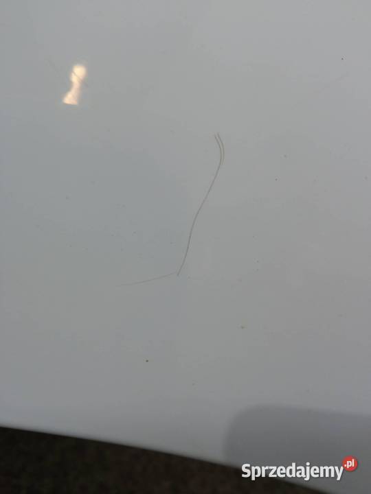 BŁOTNIK LEWY PRZÓD BS Ford Transit Courier I świętokrzyskie