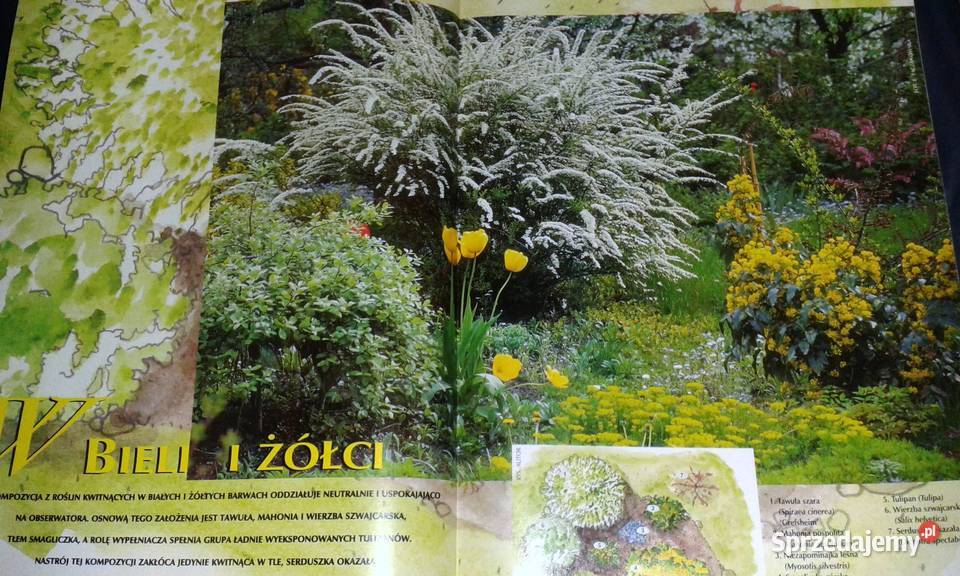 Działkowiec specjalny 12342004 lubelskie Chełm